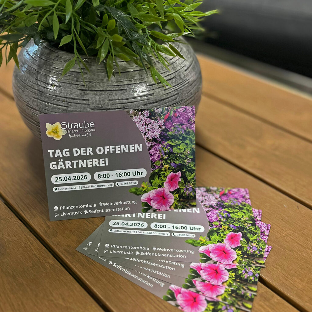 Flyer // Gärtnerei Straube
